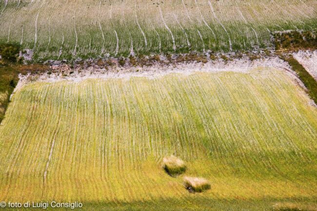 castelluccio_MG_6809
