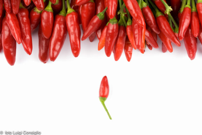 Luigi-Consiglio-fotografo-food-Verona5 (1)