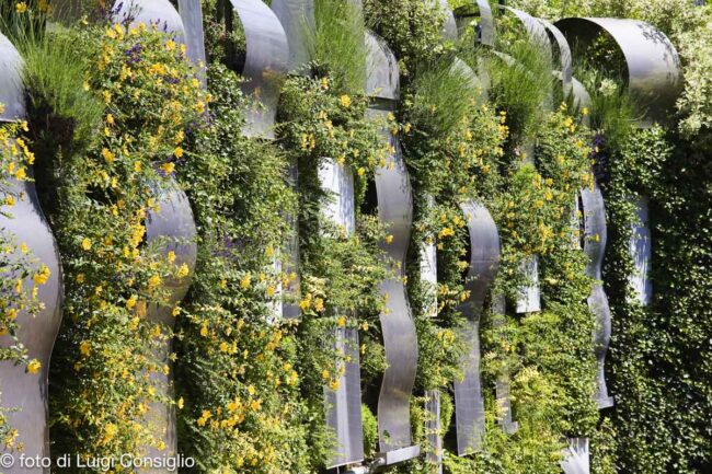 BardolinoB&B_Aqualux_GiardinoVerticale_20170526_5874