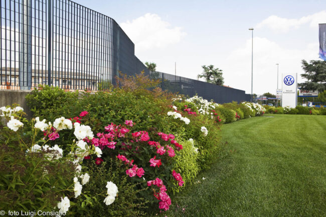 LUIGICONSIGLIO-FOTOGRAFO-giardini-Verona-vice20170517_5090