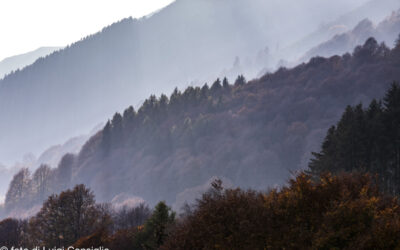 11_novembre_054_Autunno_Novezza_MG_1700-8 11_novembre_054_Autunno_Novezza_MG_1700-8