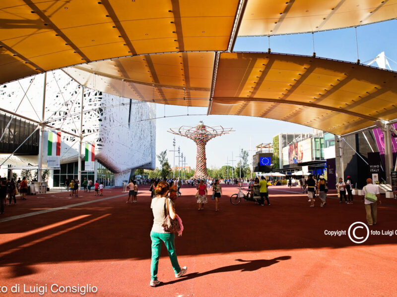Expo2015_Decumano20150803_9979