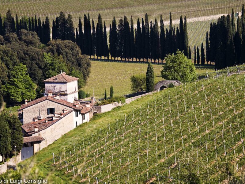 Valpolicella 2017; Loc. Castel Rotto Valpolicella 2017; Loc. Castel Rotto