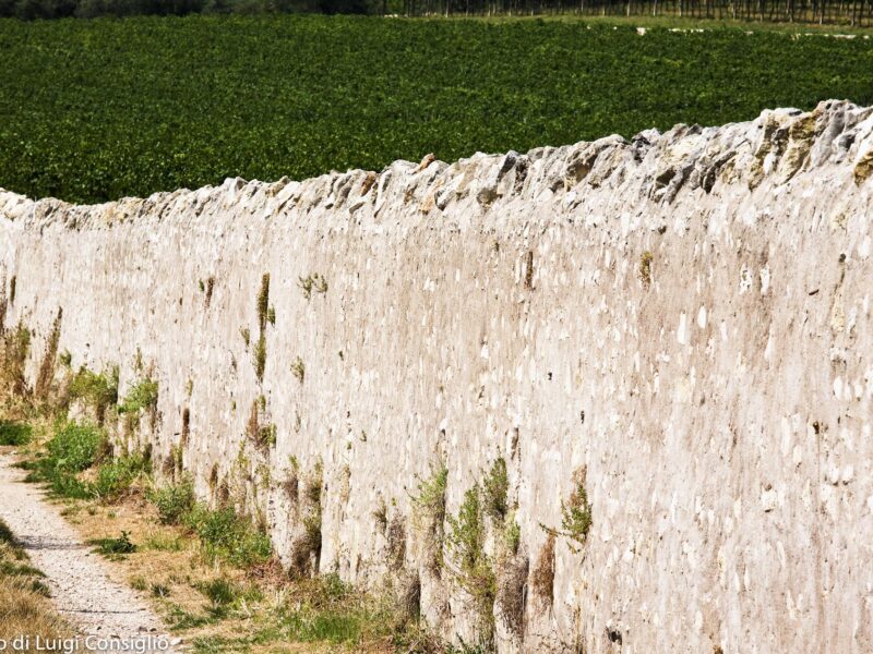 Valpolicella 2017; Fumane Valpolicella 2017; Fumane
