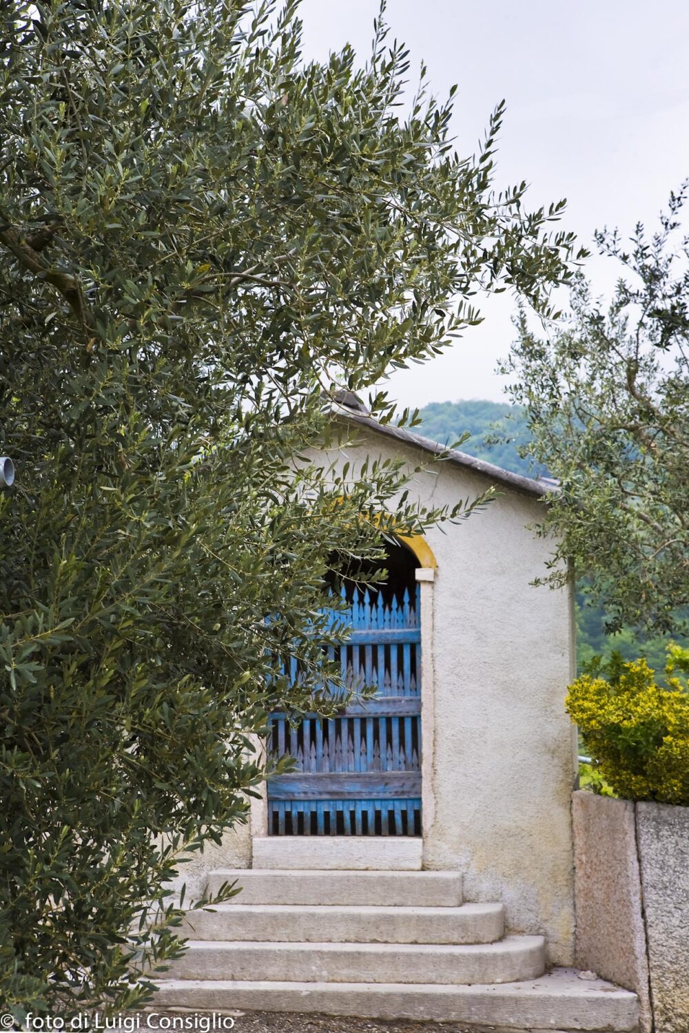 Valpolicella 2017; Loc. Torbe Valpolicella 2017; Loc. Torbe