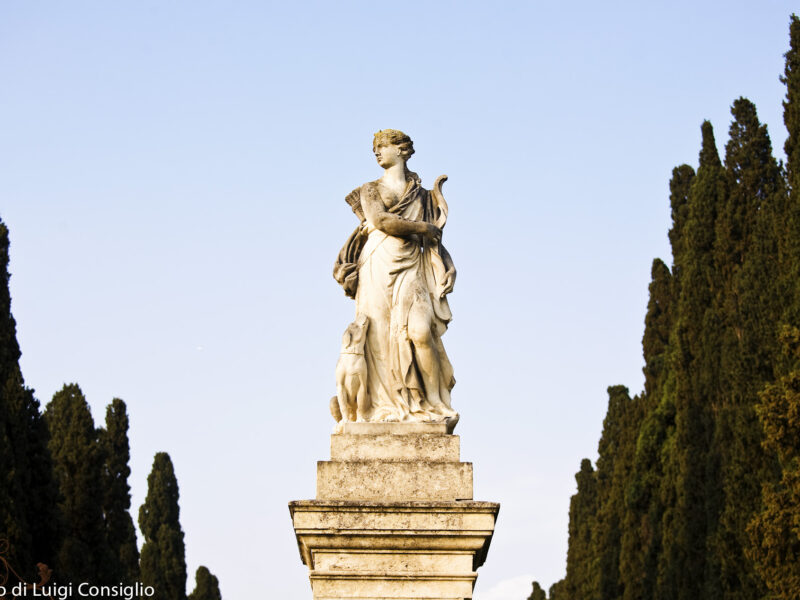 Valpolicella 2017; Villa Pullè Valpolicella 2017; Villa Pullè