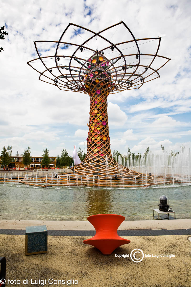 MilanoExpo201520150730_9727_AlberoVita